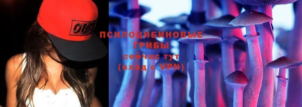 гидропоника Карпинск