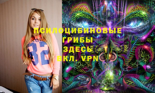 гидропоника Карпинск
