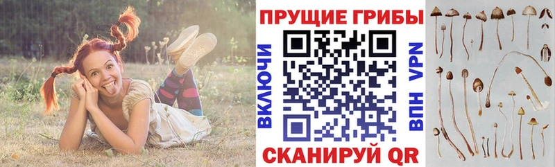 Галлюциногенные грибы мицелий  Купить закладки  Миллерово 